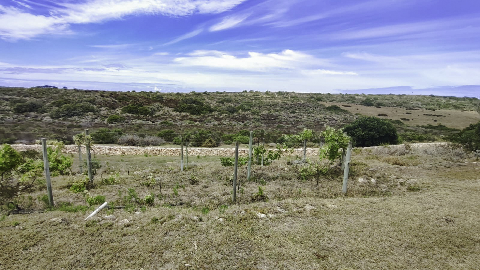 3 Bedroom Property for Sale in Stilbaai Rural Western Cape